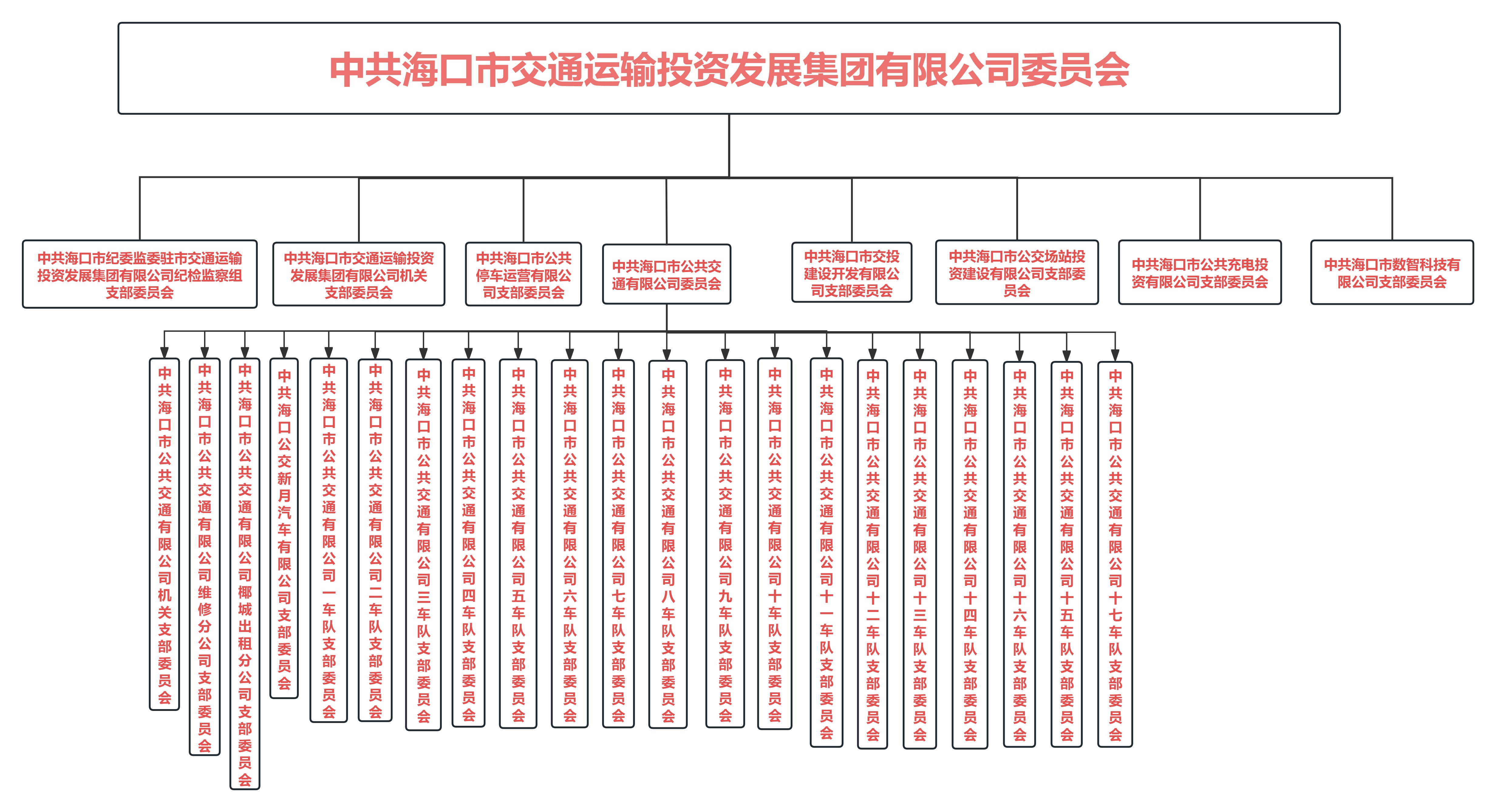 中共海口市交通運輸投資發(fā)展集團(tuán)有限公司結(jié)構(gòu)圖.jpg